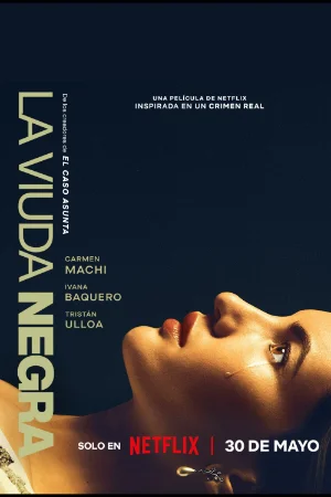 Trò Chơi Của Một Góa Phụ